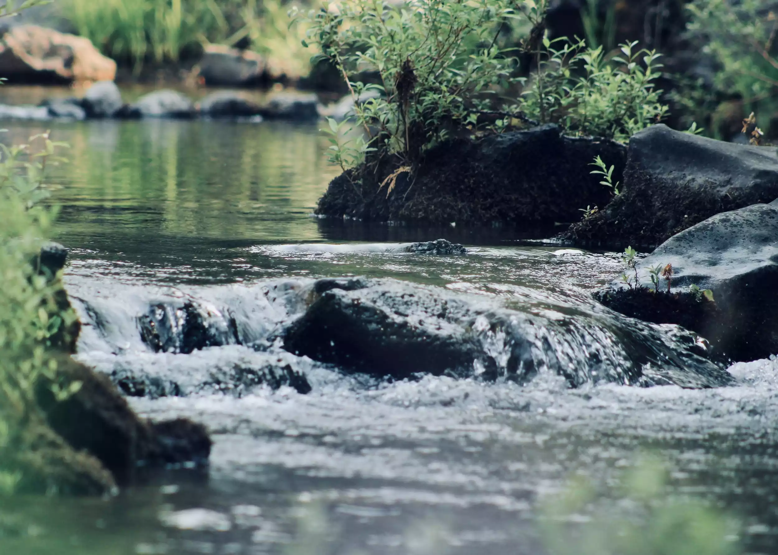 A picture of a river