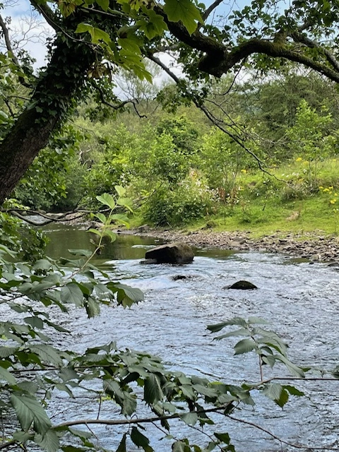 A picture of Helen Webb standing in the foreground with a river behind her